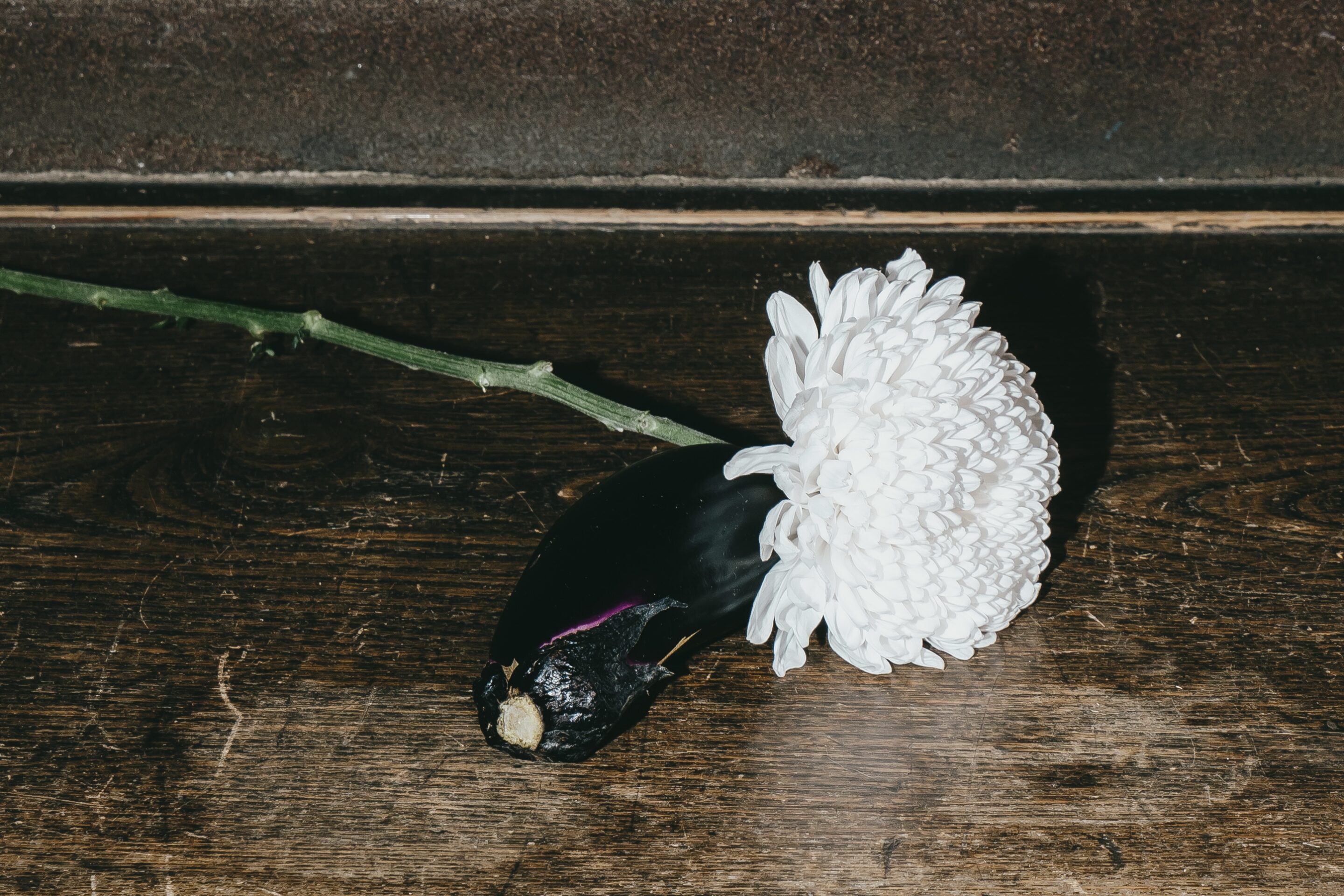 Still-life of chrysanthemum and eggplant, suggesting quiet maturity and subtle luxury. / 菊と茄子の静物画、静かな成熟とささやかな贅を示唆する。